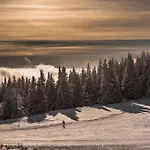 Апартаменты Terre De Sapins - De Charme Avec Sauna & Sejour Nature