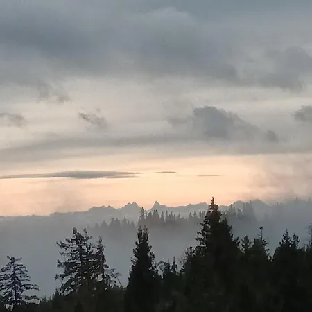 Terre De Sapins - Nature De Gamme Avec Sauna Au Coeur Du Blanc Orbey