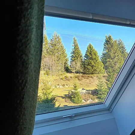 Terre De Sapins - Nature De Gamme Avec Sauna Au Coeur Du Blanc Apartament Orbey