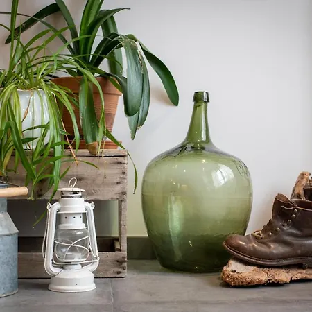 Terre De Sapins - Nature De Gamme Avec Sauna Au Coeur Du Blanc Orbey