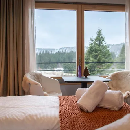 Terre De Sapins - Nature De Gamme Avec Sauna Au Coeur Du Blanc Orbey