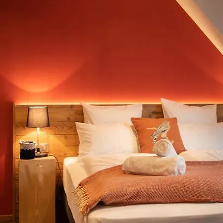 Terre De Sapins - Nature De Gamme Avec Sauna Au Coeur Du Blanc * Orbey