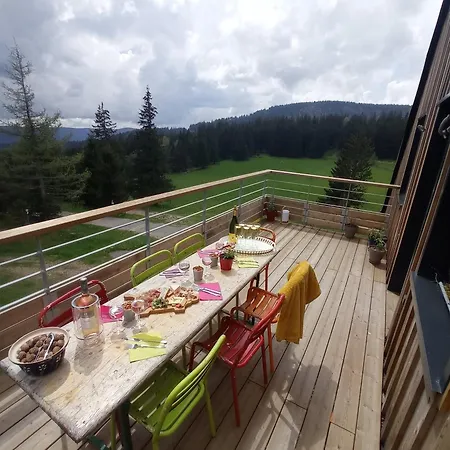 Terre De Sapins - De Charme Avec Sauna & Sejour Nature Apartment Orbey