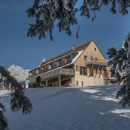 Apartment Terre De Sapins - De Charme Avec Sauna & Sejour Nature Orbey