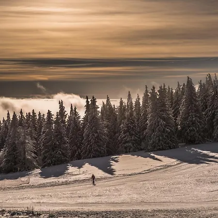 Apartament Terre De Sapins - De Charme Avec Sauna & Sejour Nature